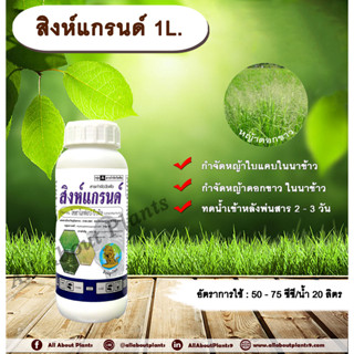 สิงห์แกรนด์ 1L.ไซฮาโลฟอบ-บิวทิล สารกำจัดวัชพืช สารกำจัดหญ้า ในนาข้าว หญ้าใบแคบ หญ้าดอกขาว