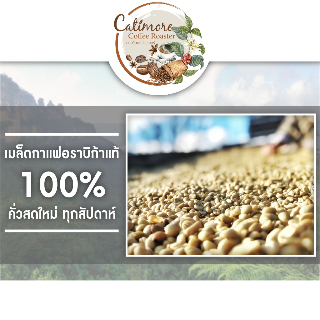 500-กรัม-catimore-เมล็ดกาแฟสด-กาแฟสด-กาแฟบด-กาแฟคั่ว-อราบิก้า100-premium