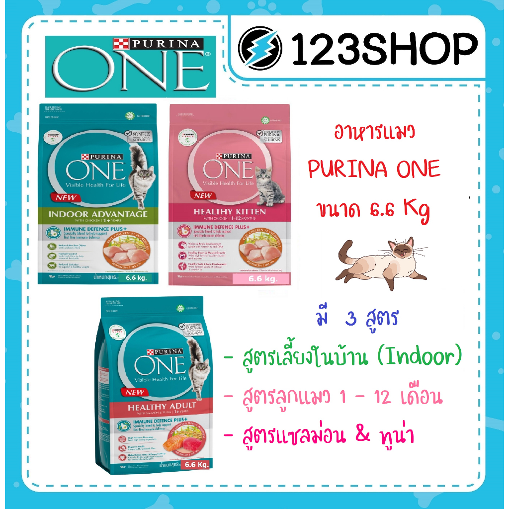 purina-one-เพียวริน่าวัน-6-6kg-ทุกรสชาติ