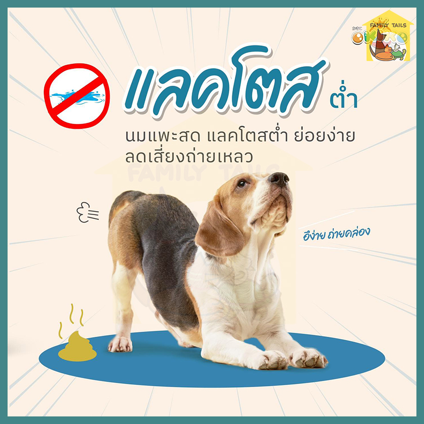 200-400-ml-okiko-โอคิโกะ-นมแพะสเตอริไลส์-100-นมแพะสำหรับสัตว์เลี้ยง