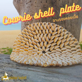 Andaman seashell จานรองหอยเบี้ย