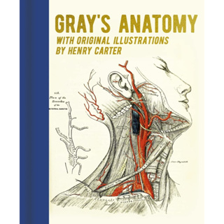 หนังสือภาษาอังกฤษ Grays Anatomy: With Original Illustrations by Henry Carter (Arcturus Gilded Classics)