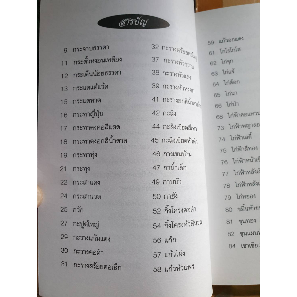 ซื้อคู่ราคาพิเศษ-นกสวย-สัตว์ป่าสงวนและสัตว์ป่าในเมืองไทย-ราคาตามสภาพ