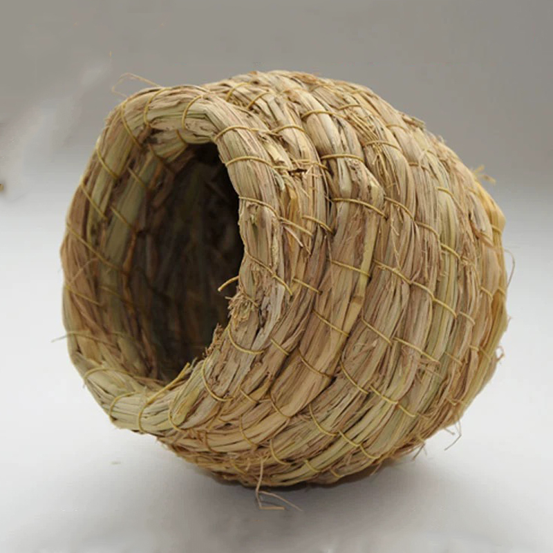 th-11134207-7qukz-lk88szrqbhahd3