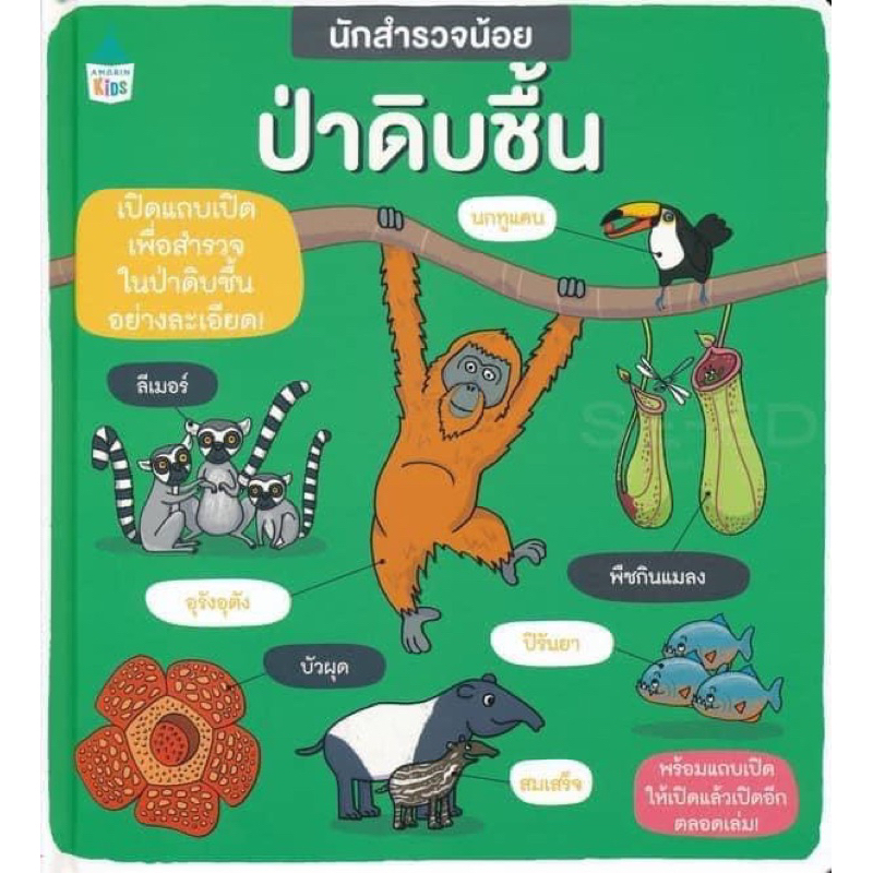 นักสำรวจน้อย-เรื่อง-ป่าดิบชื้น-ราคาปก-345