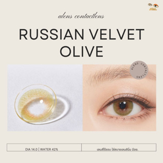 Russian velvet olive | เลนส์ไร้ขอบ รายเดือน