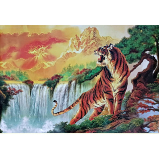 โปสเตอร์ เสือ ภาพ มงคล เสริม บารมี อำนาจ กล้าหาญ แข็งแกร่ง รูป วิว ติดผนัง สวยๆ poster 34.5x23.5นิ้ว(88x60ซม.โดยประมาณ)