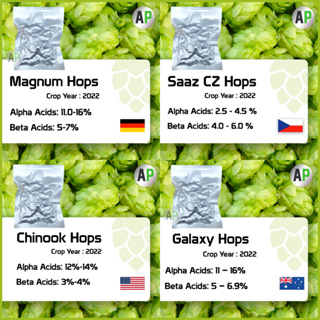 ฮอปส์ เพลลิท ทำเบียร์​ หมักเบียร์ Hops T-90 [Crop Year 2022] Citra / Cascade / Galaxy / Mosaic /Chinook / Amarillo