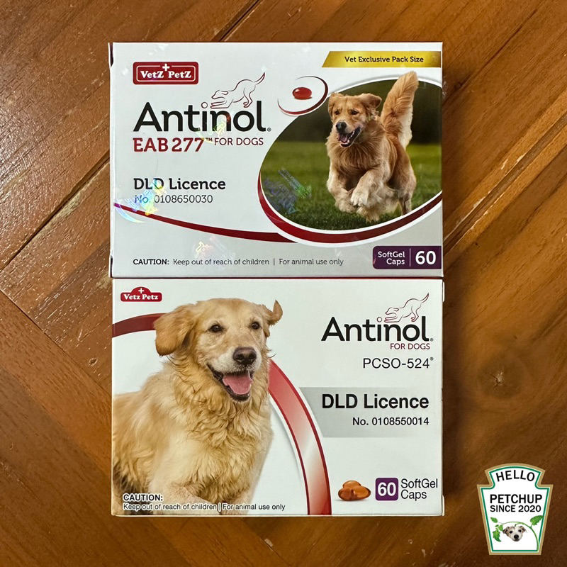 Antinol 60 Capsules สูตรเก่า PCSO524® และสูตรใหม่ EAB 277™ Shopee