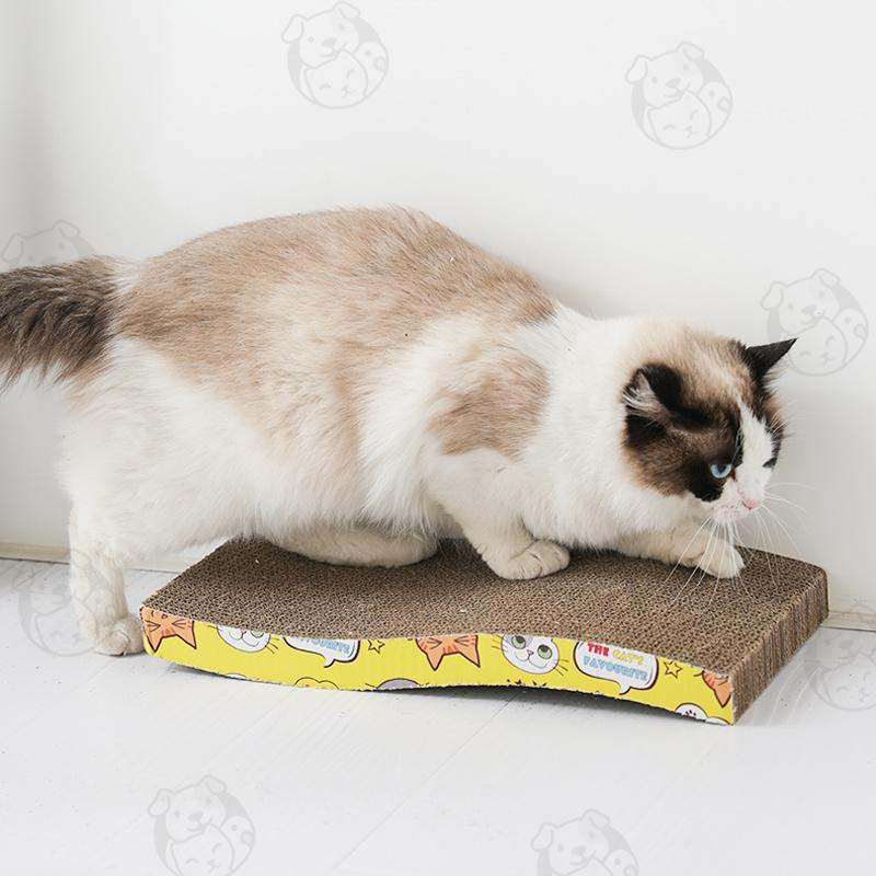 ภาพสินค้าโซฟาที่ลับเล็บแมว ของใช้น้องแมว โซฟาลับเล็บแมว ที่ลับเล็บแมว จากร้าน catto_store บน Shopee ภาพที่ 6