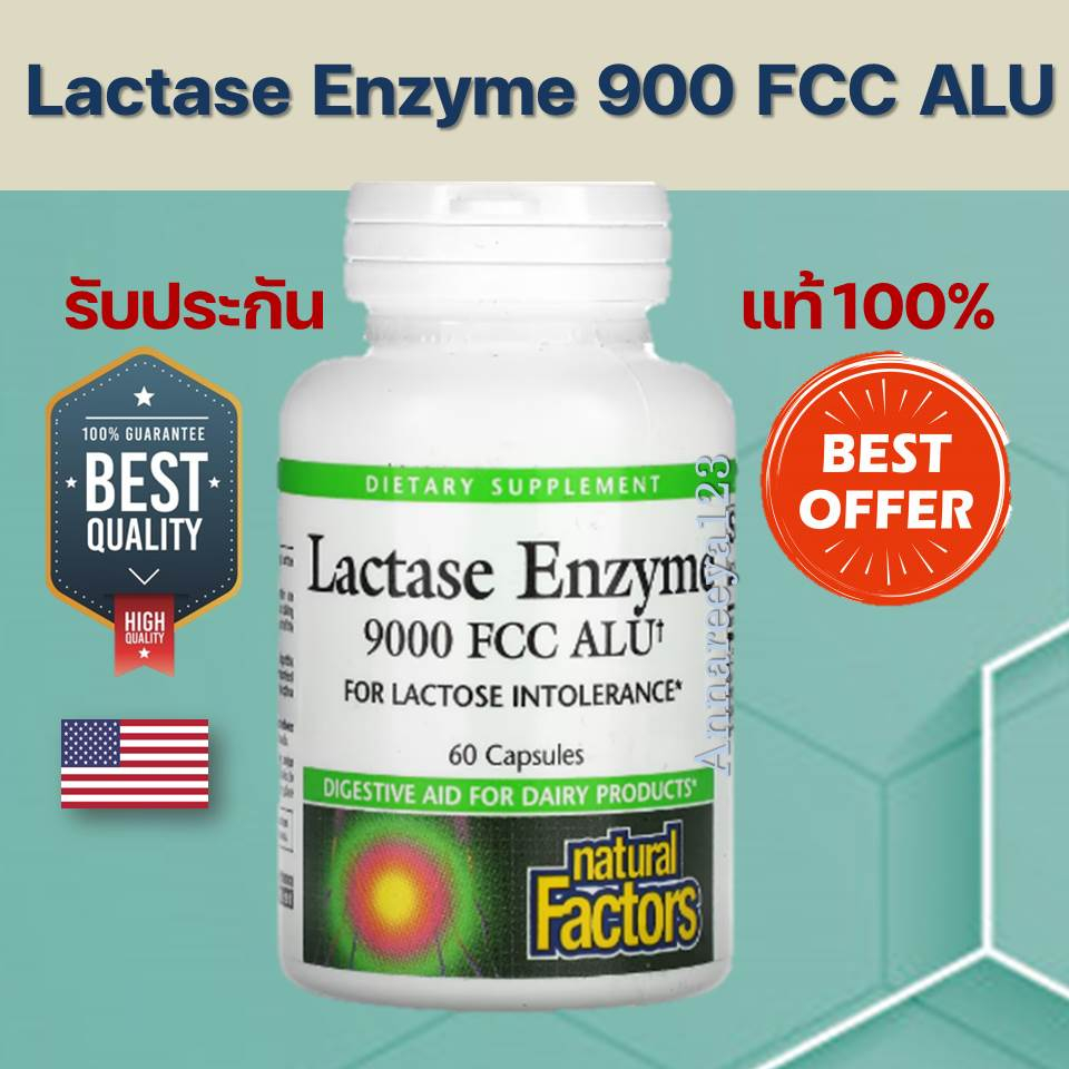 ของแท้ พร้อมส่งNatural Factors, Lactase Enzyme, 9000 FCC ALU, 60