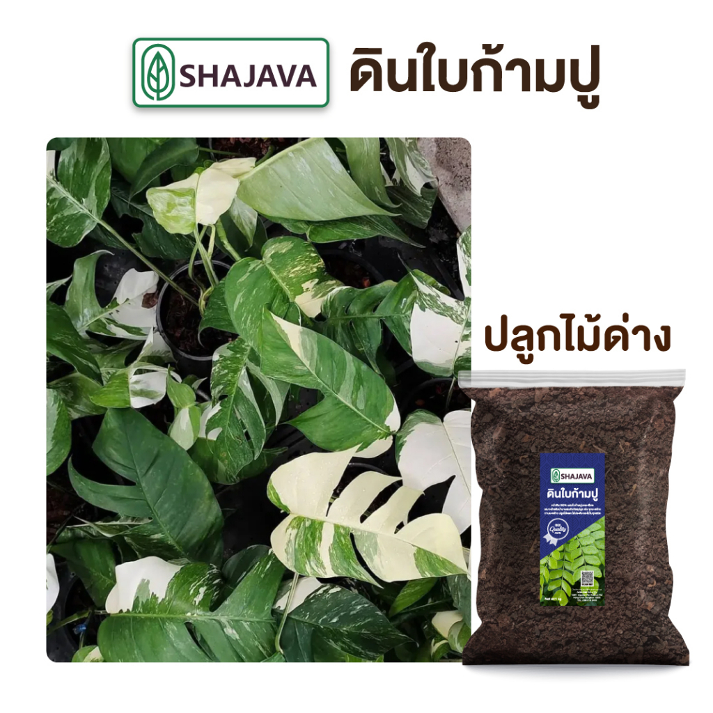 shajava-ดินใบก้ามปู-ปริมาณ-1-kg-ดิน-ดินพร้อมปลูก-ดินก้ามปู