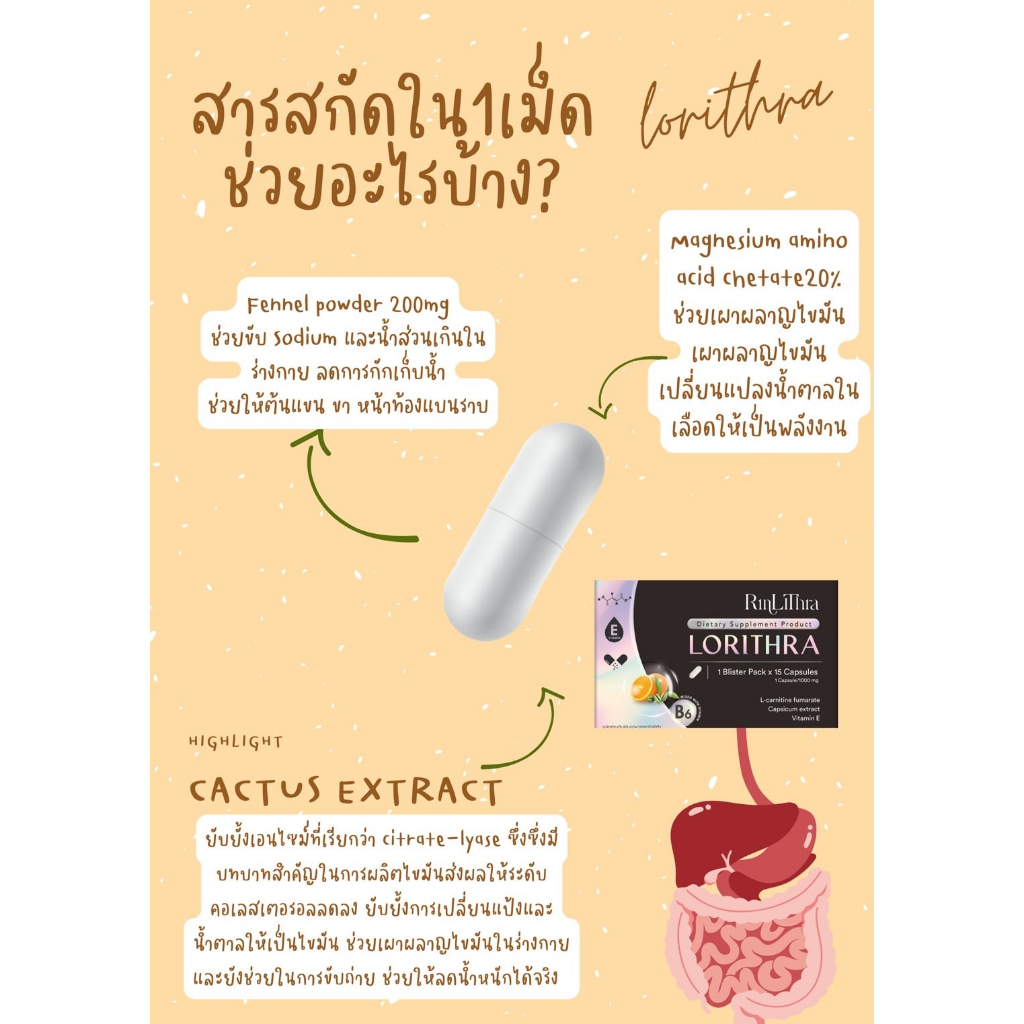 rinlithra-lorithra-15-capsules-อาหารเสริมโลริต้า-ลดโซเดียม-ควบคุมน้ำหนัก-กระชับสัดส่วน-ของแท้-บล็อคไขมัน-ลดความอยากอาหาร