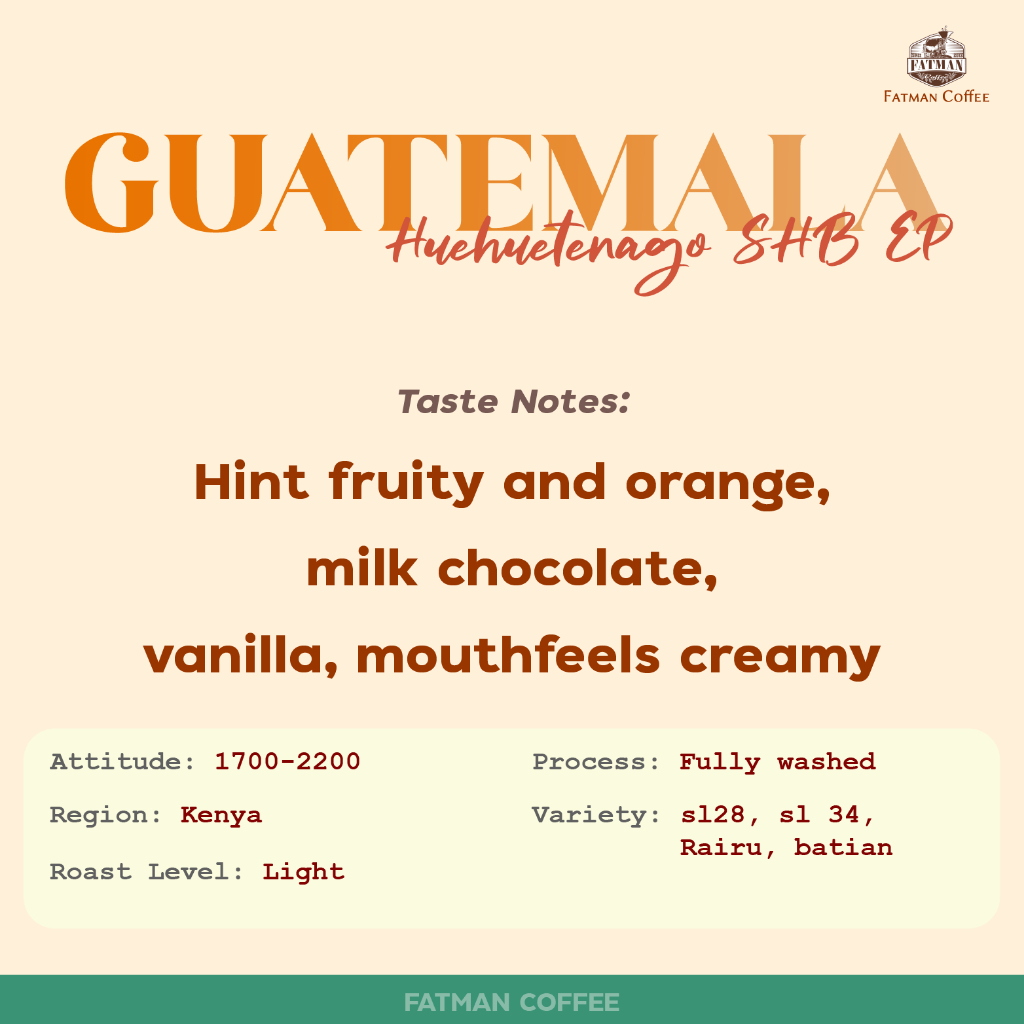 ราคาส่ง-1-3-kg-เมล็ดกาแฟ-guatemala-huehuetenago-shb-ep