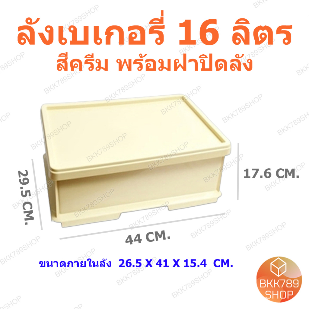 bkk789shop-ลังเบเกอรี่-กล่องใส่โดนัท-กล่องขนมปัง-กล่องคุกกี้-กล่องเค้ก-กล่องขนมเปี๊ยะ-กล่องใส่บราวนี่-ลังพลาสติกพร้อมฝา