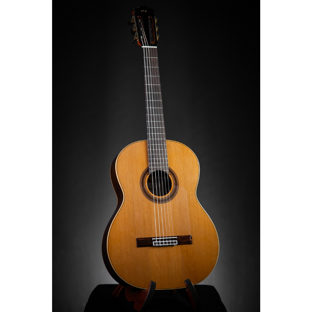 กีต้าร์คลาสสิค-cordoba-f7-paco-flamenco-solid-cedar-rosewood-classic-guitar-กีตาร์คลาสสิค-กีตาร์