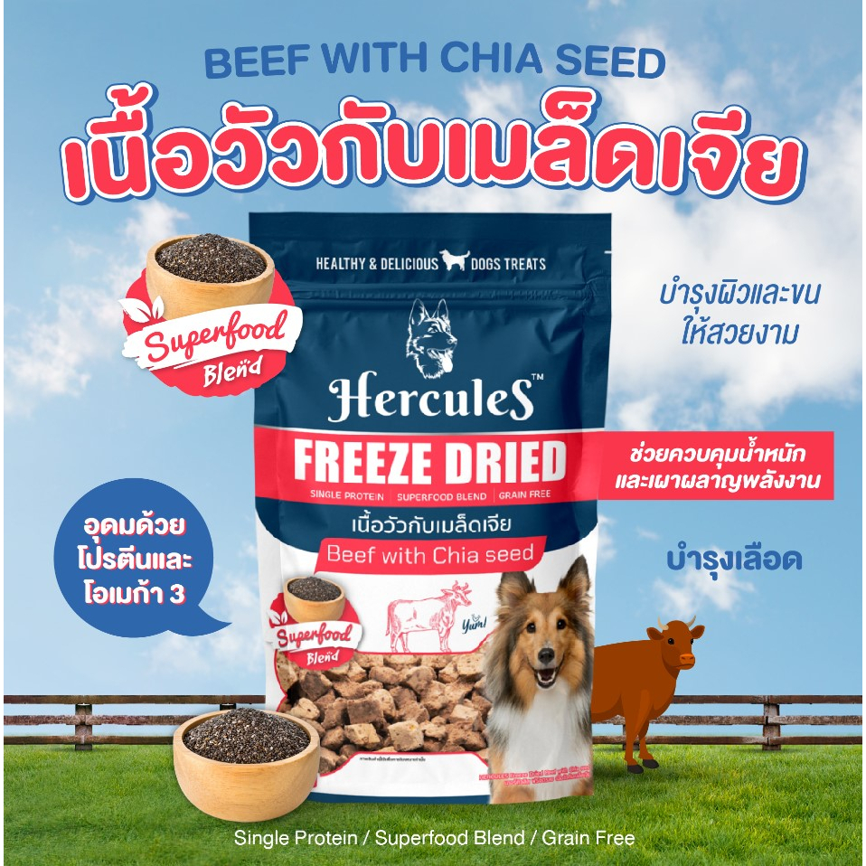 hercules-freeze-dried-ผลิตด้วยเทคโนโลยีฟรีซดราย-อาหารสุนัข-40-กรัม