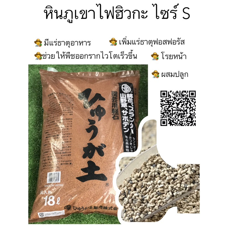 หินภูเขาไฟญี่ปุ่นฮิวกะหินโรยหน้าผสมปลูกกระบองเพชร