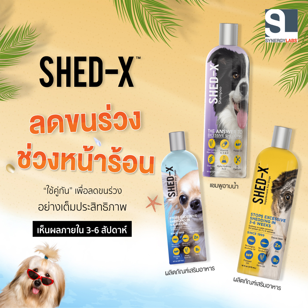 ***Exp.08/2025***Shed-X Supplement for dogs ผลิตภัณฑ์อาหารเสริมบำรุงขน ...