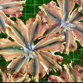 ปลาหัวโม่งแห้ง  (ปลา3น้ำทะเลสาบใต้) [ 1แพ็ค 5วง]  ปลาแห้ง ปลาเค็ม  ปลากดแห้ง
