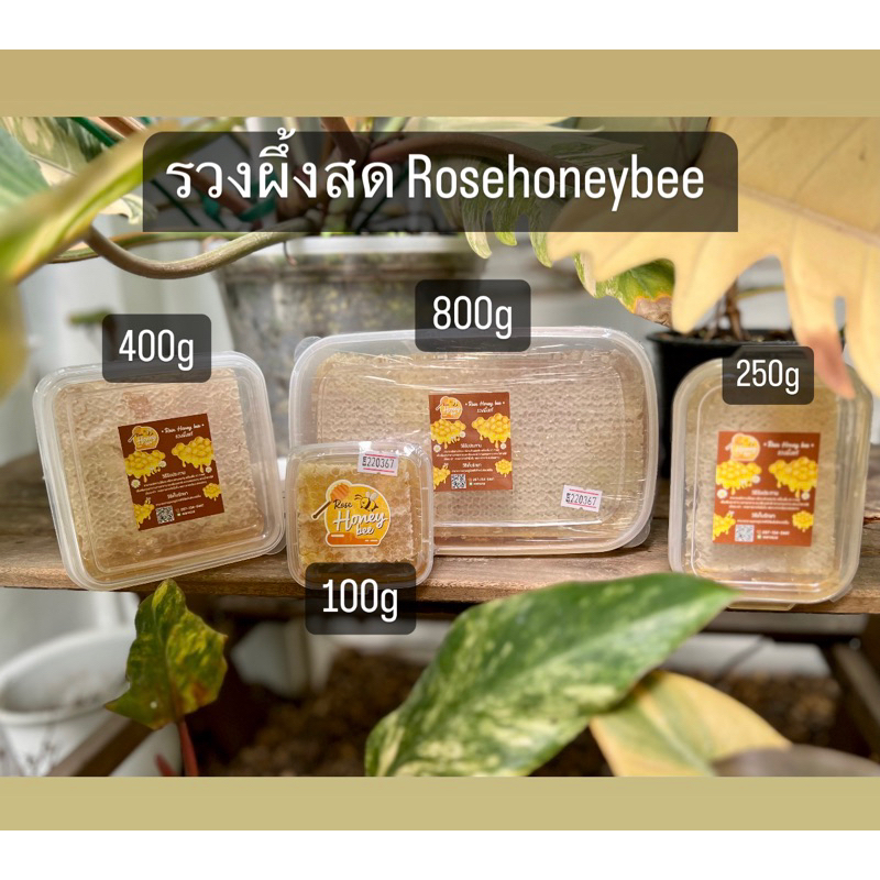 ภาพหน้าปกสินค้ารวงผึ้งสด 250-300กรัม 169บาท 400-450 กรัม 270บาท 800 กรัม 540บาท รังผึ้ง รวงผึ้ง น้ำผึ้ง ผึ้ง honeycomb จากร้าน rosehoneybeeatbkk บน Shopee