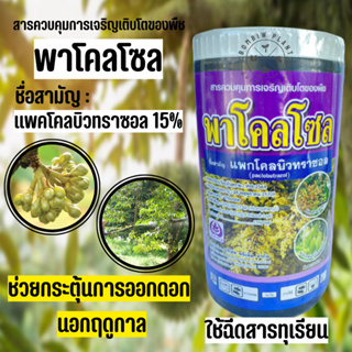 แพคโคลบิวทราซอล 15% (ขนาด 1 กิโลกรัม)เป็นสารควบคุมการเจริญเติบโตของพืชช่วยกระตุ้นการออกดอก ทำให้ออกดอกได้เร็วขึ้นก่อนฤดู