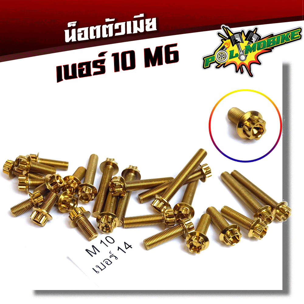 น็อตหัวเฟือง เบอร์10 (M6) น็อตทอง ราคาต่อ 1 ตัว 2M - สแตนเลส