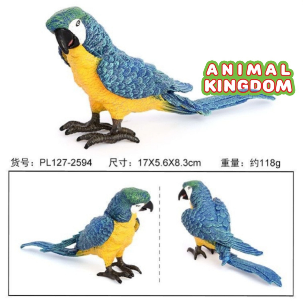 animal-kingdom-โมเดลสัตว์-นกแก้ว-ฟ้าเหลือง-ขนาด-17-00-cm-จากหาดใหญ่