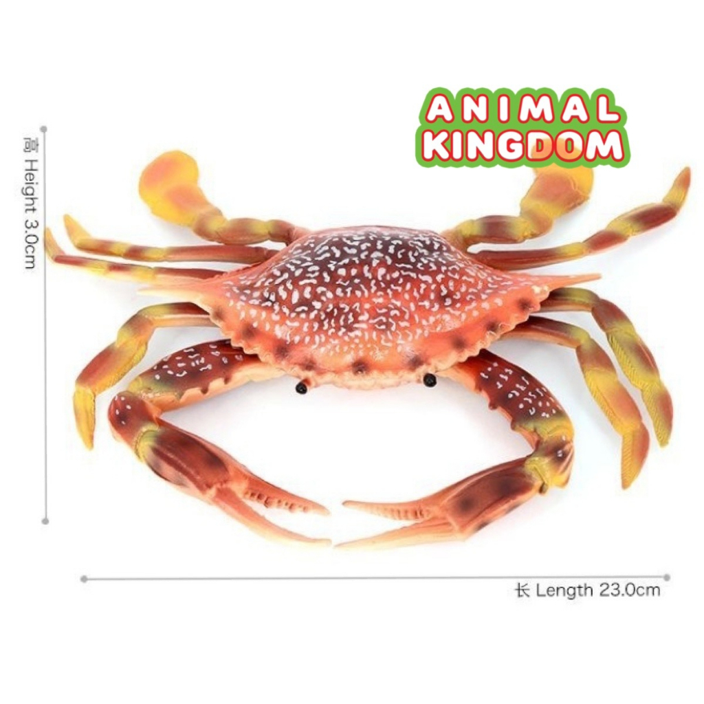 animal-kingdom-โมเดลสัตว์-ปูม้า-แดงลาย-ขนาด-23-00-cm-จากหาดใหญ่