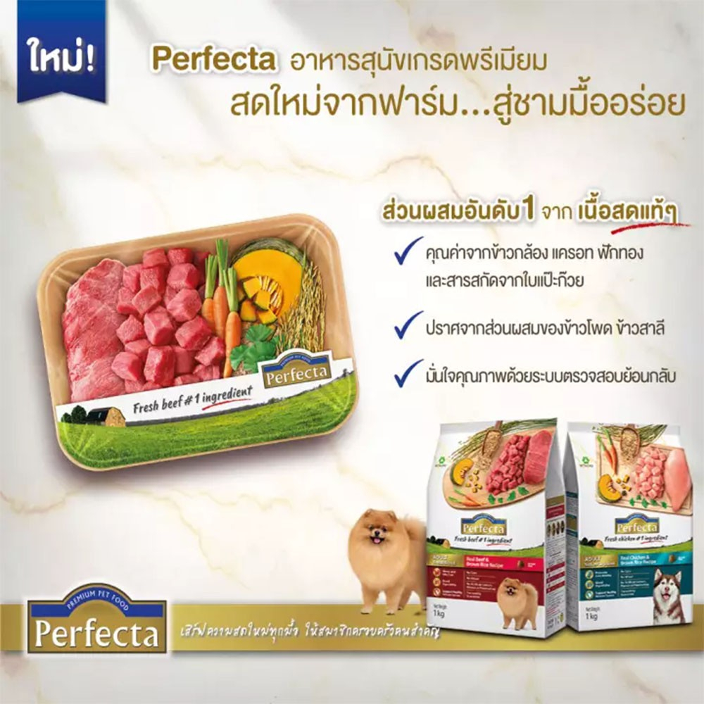 อาหารเม็ด สำหรับสุนัขพันธุ์เล็ก Premium pet food perfecta adult small ...
