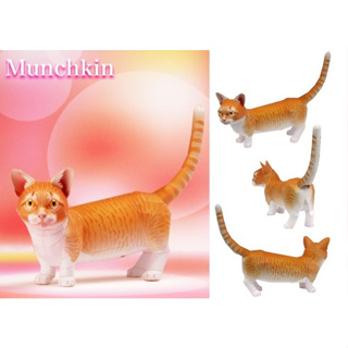 โมเดลกระดาษ 3D : แมว Munchkin กระดาษโฟโต้เนื้อด้าน  กันละอองน้ำ ขนาด A4 220g.