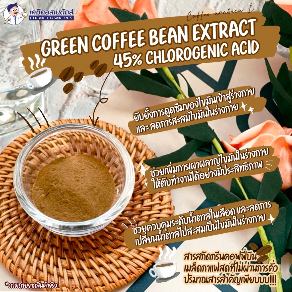 green-coffee-bean-extract-45-chlorogenic-acid-สารสกัดกรีนคอฟฟี่บีนจากเมล็ดกาแฟสดที่ไม่ผ่านการคั่ว