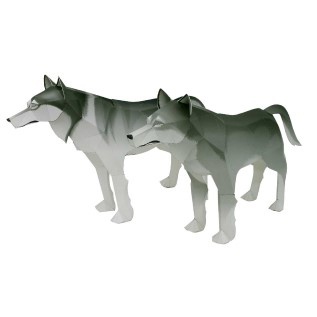 โมเดลกระดาษ 3D : หมาป่าไม้ตะวันออก กระดาษโฟโต้เนื้อด้าน  กันละอองน้ำ ขนาด A4 220g.
