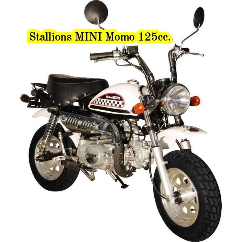 ซีลโช๊คหน้า-stallions-mini-gio-125-mini-momo-125-baja-125-ซีลโช๊ค-ซีนโช๊คหน้า-ชีลโช้คหน้า-ซินโช๊คหน้า