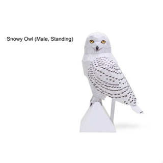 โมเดลกระดาษ 3D : นกเค้าแมวหิมะกำลังยืน กระดาษโฟโต้เนื้อด้าน  กันละอองน้ำ ขนาด A4 220g.