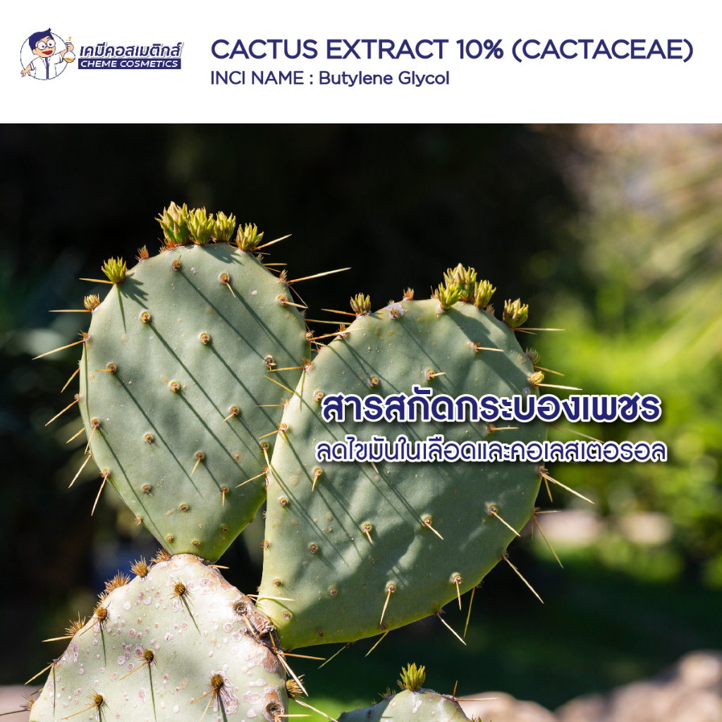cactus-extract-10-cactaceae-สารสกัดกระบองเพชร-มีฤทธิ์ต้านอนุมูลอิสระ-ช่วยยลดไขมันในเลือดและคอเลสเตอรอล-เร่งการเผาผลาญ