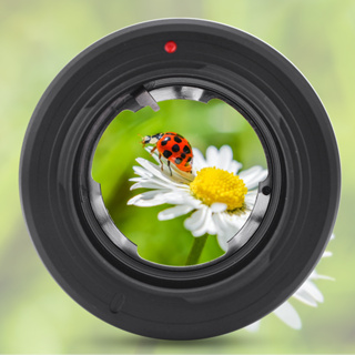 Cancer309 DKL-NEX Black Aluminium Alloy Lens Adapter Ring for DKL Mount Camera to NEX