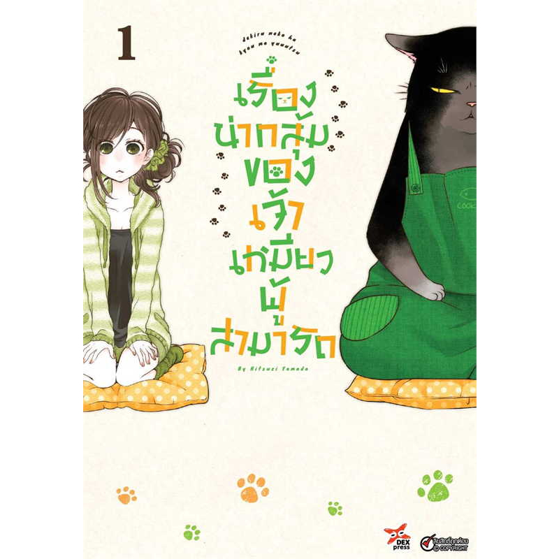 เรื่องน่ากลุ้มของเจ้าเหมียวผู้สามารถ-เล่ม-1-มือ-1