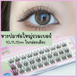 ขนตาปลอม รุ่น หางปลาช่อใหญ่รวม