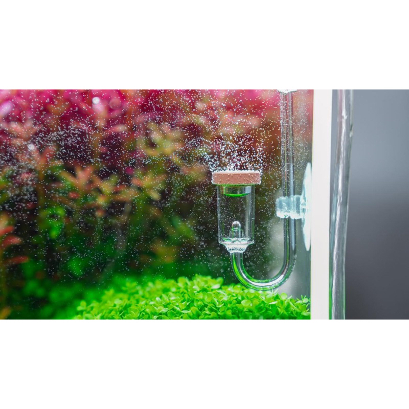 Chihiros Nano Co2 Diffuser ดิฟ หัวดิฟ หัวกระจายคาร์บอนไดออกไซด์ ใช้ ตู้ ...