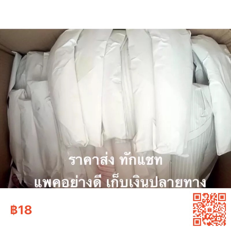 ขายว่านหางจรเข้-น้ำหนัก-5-โล-ค่าส่งถูก