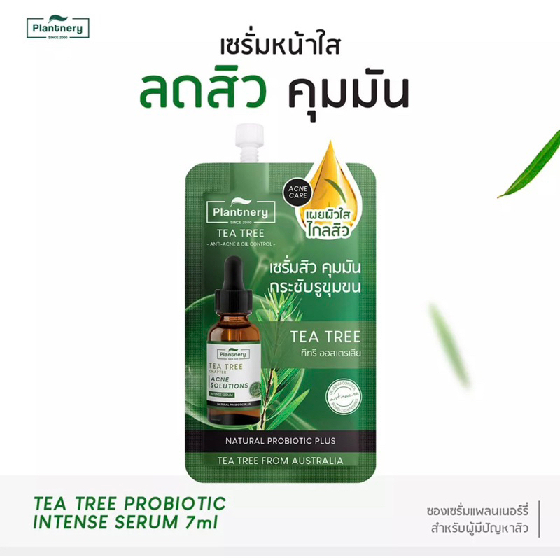 Plantnery Tea Tree Probiotic Intense Serum แบบซอง 7 ml เซรั่ม ทีทรี ...