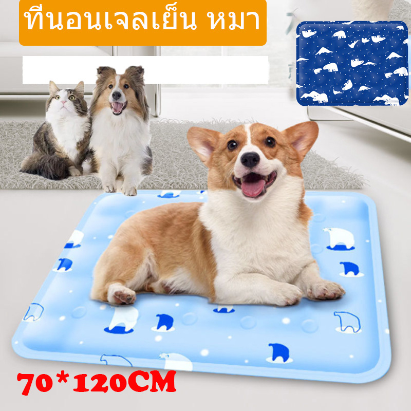 Pet Cool Mat 90 x 60 cm