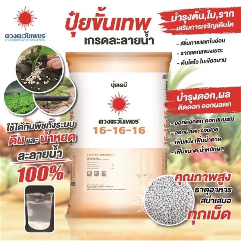 ปุ๋ย16-16-16ดวงตะวันเพชร แบ่งขาย5โล บรรจุใส่ถุงซิป | Shopee Thailand