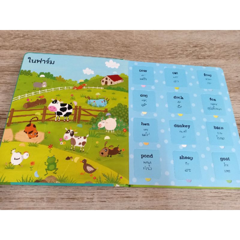 เปิดโลกคำศัพท์-สำหรับหนูน้อย-lift-the-flap-word-book-boardbook