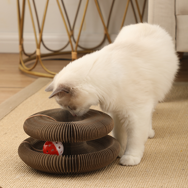 ของเล่นแมว-ของเล่นแมวถูกๆ-ที่ลับเล็บแมว-ที่ฝนเล็บแมว-cat-toy-ของเล่นถูก-ของเล่นแมวรางบอล-ลับเล็บรางบอล-สามารถพับ-ยืด-หด
