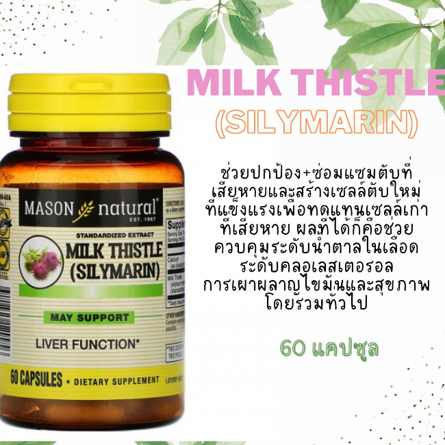 Mason Natural, Milk Thistle/Cranberry, Standardized Extract, Liver