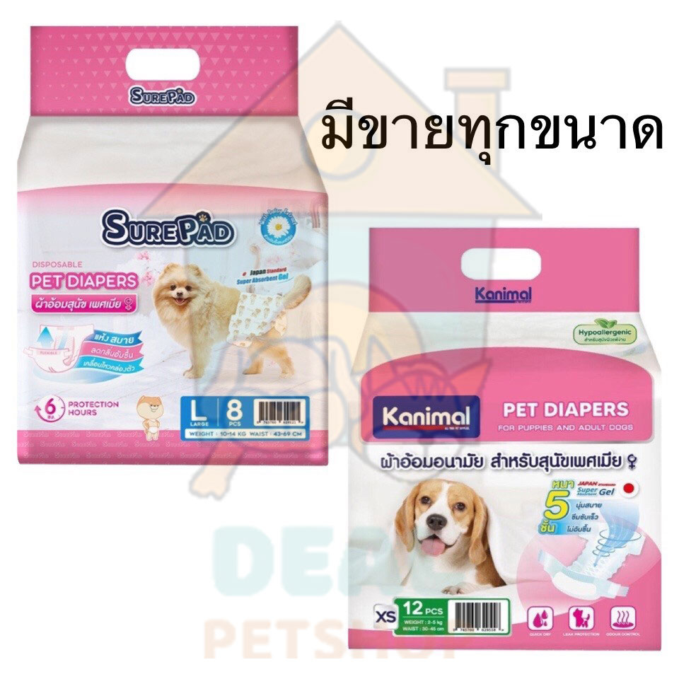 dealpetshop-ผ้าอ้อมสุนัข-surepad-pet-diapers-kanimal-pet-diapers-ฝึกขับถ่าย-แพมเพิส-สุนัขเพศเมีย