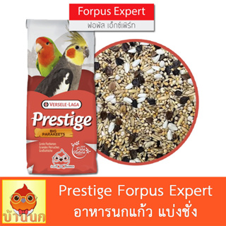 ภาพหน้าปกสินค้าPrestige Forpus Expert 500g / 1kg (แบ่งชั่ง) ทานตะวันรวม อาหารนกแก้ว อาหารนก ธัญพืชรวม ทานตะวัน ฟอพัส พรีสทีจ ที่เกี่ยวข้อง