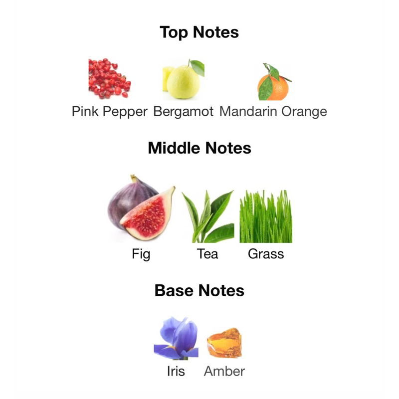 แบ่งขาย-armani-prive-figuier-eden-edt-green-fruity-tea-amp-iris-แท้-จากช้อปยุโรป